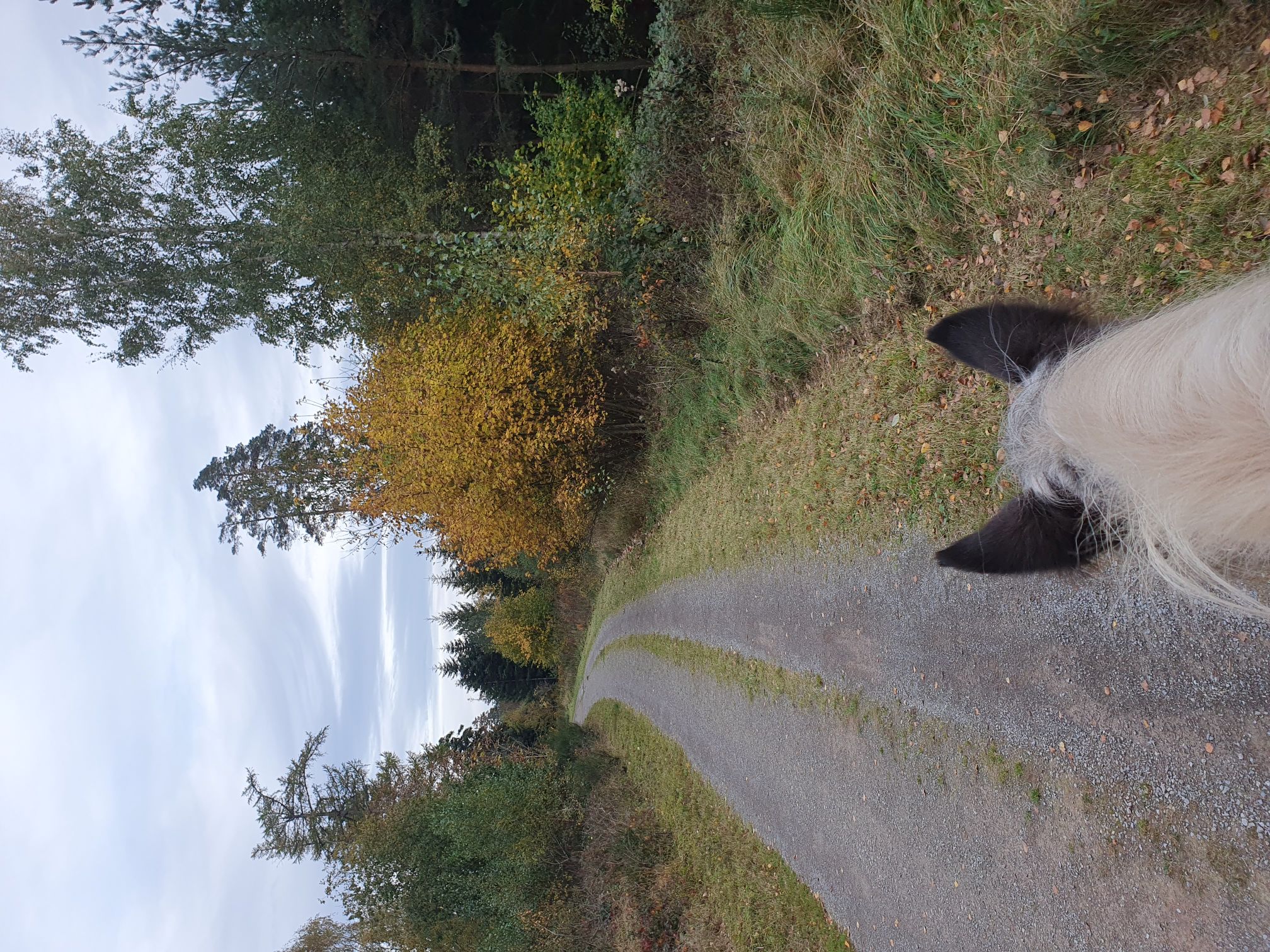 2023 11 November 566